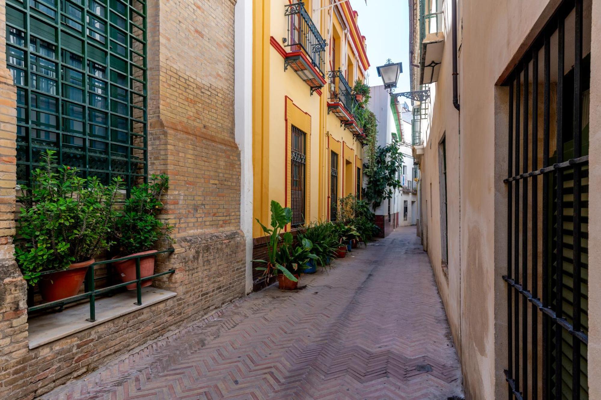 Rc Sevilla Centro Historico Catedraljuderia 외부 사진